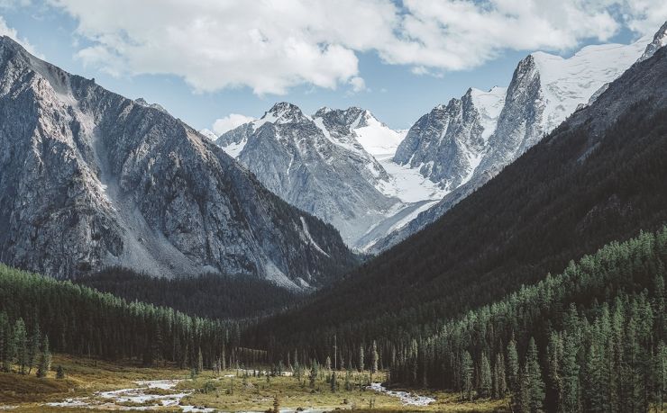 中国移民最多的国家排名前30名